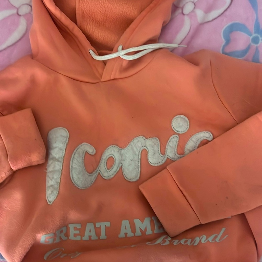 Peachy crop top sweat set